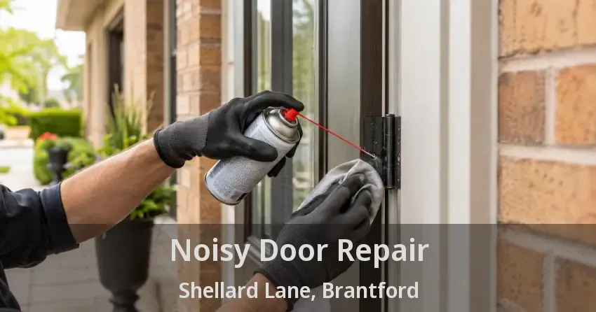 Noisy Door Repair Shellard Lane, Brantford - ON
