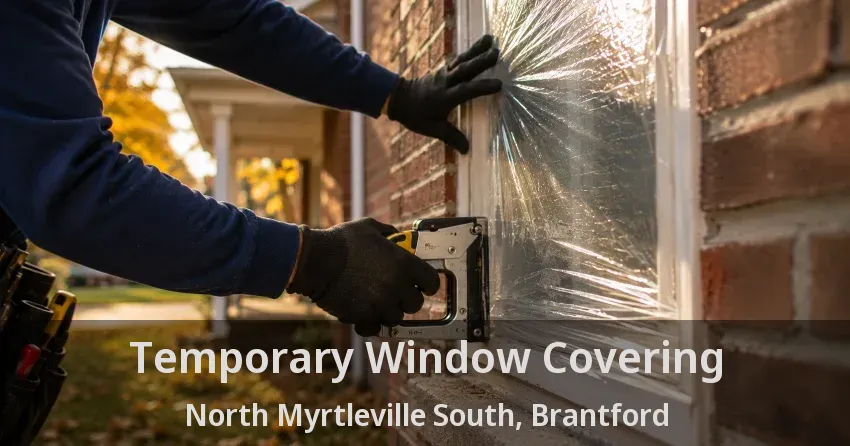 Temporary Window Covering North Myrtleville South, Brantford - ON